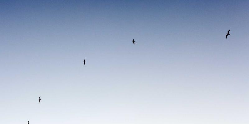 成都白癜风患者必看：特殊病种门诊办理全攻略，医保报销与定点医院选择指南