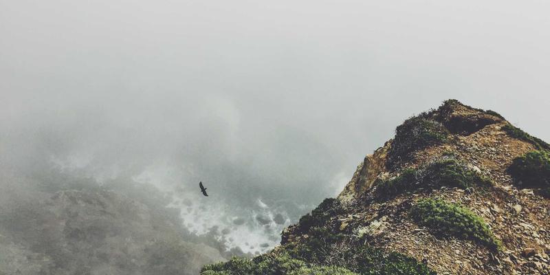 成都白癜风患者能否接种新冠疫苗？权威医生深度解析，附028地区就医指南