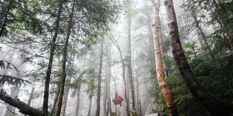 成都白癜风患者饮食调理全攻略:中医推荐3大食疗方,助您重获皮肤健康